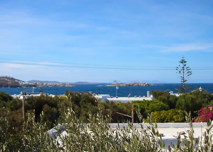 ホワイト ミス ゲストハウス 3*